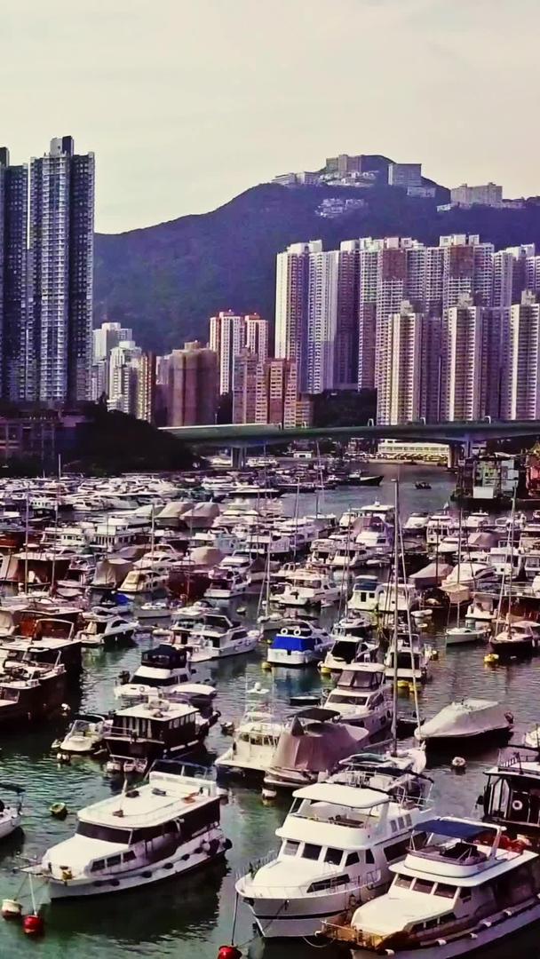 香港游船码头的冷色调视频的预览图