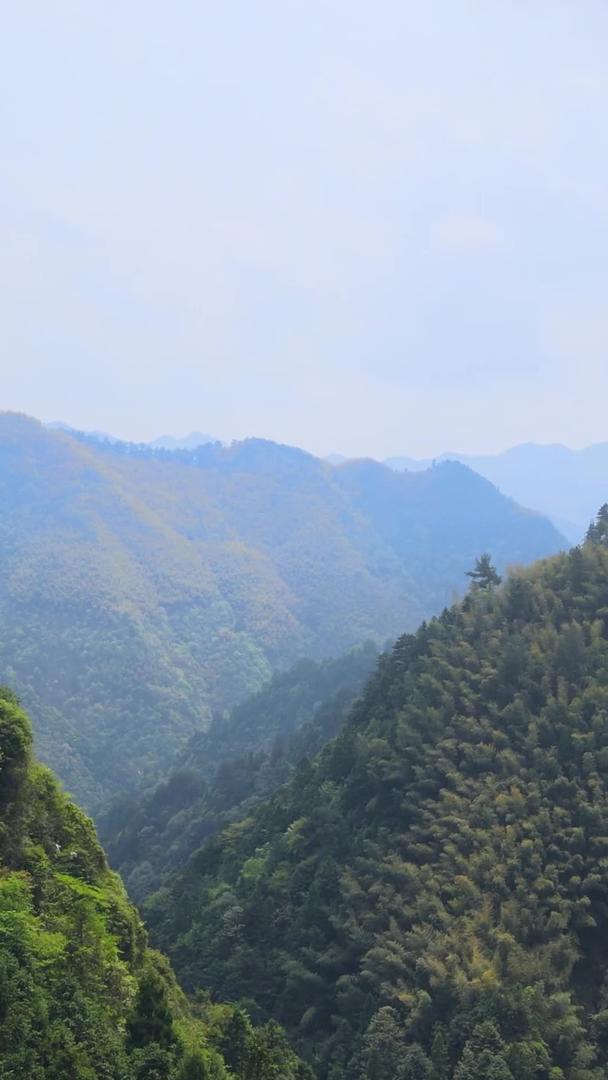 浙江南部森林山谷自然风光航拍集合集合视频的预览图