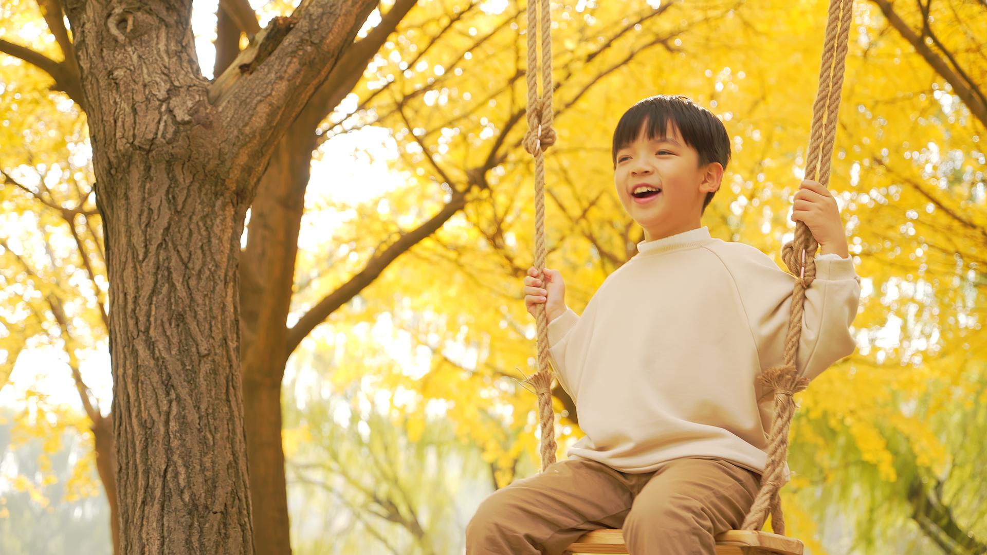 4K秋天小男孩在公园荡秋千视频的预览图