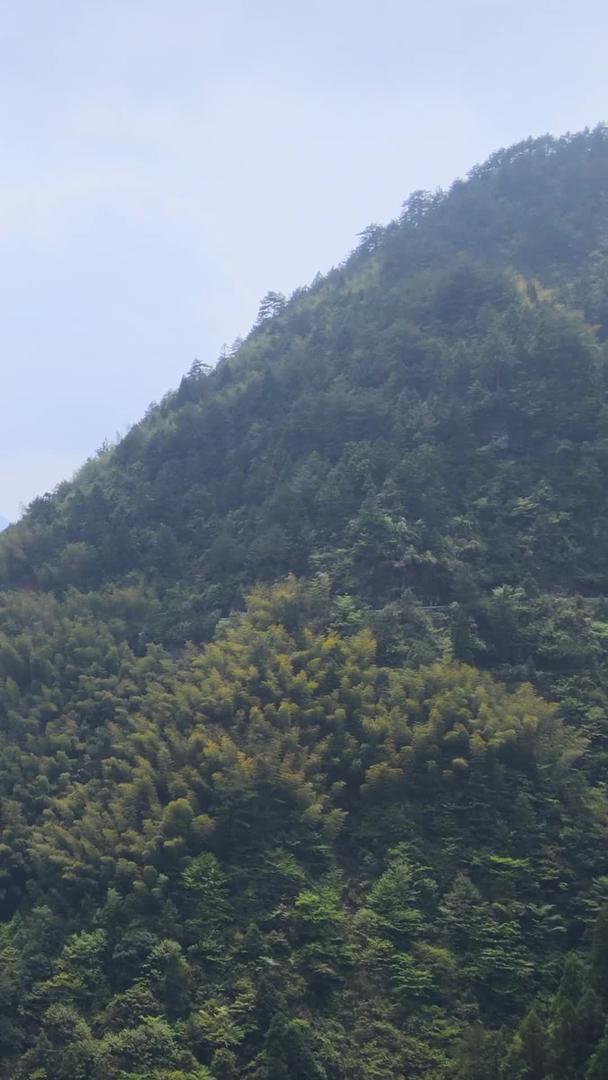 浙江南部森林山谷自然风光航拍集合集合视频的预览图
