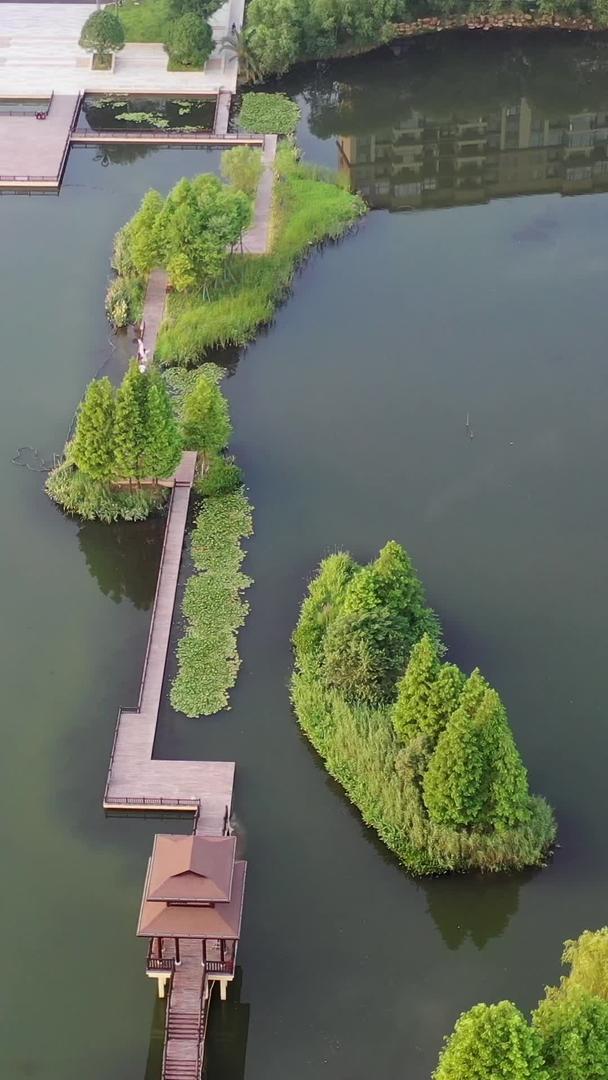 长沙洋湖湿地公园航拍视频视频的预览图