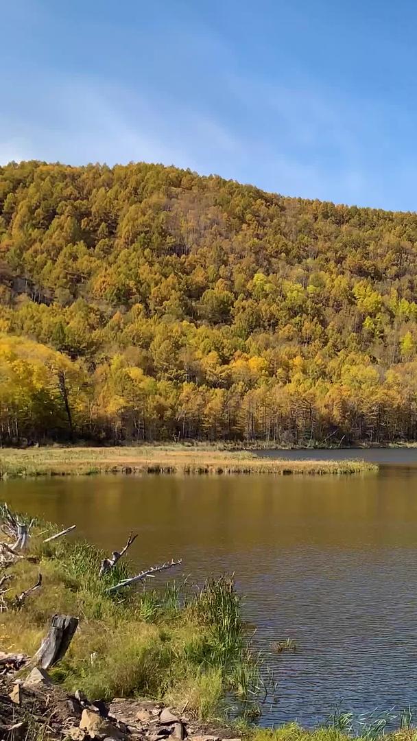 乌苏浪子湖内蒙古阿尔山景区实拍视频视频的预览图