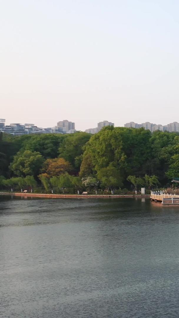 风景城市武汉东湖碧潭观鱼景区素材视频的预览图