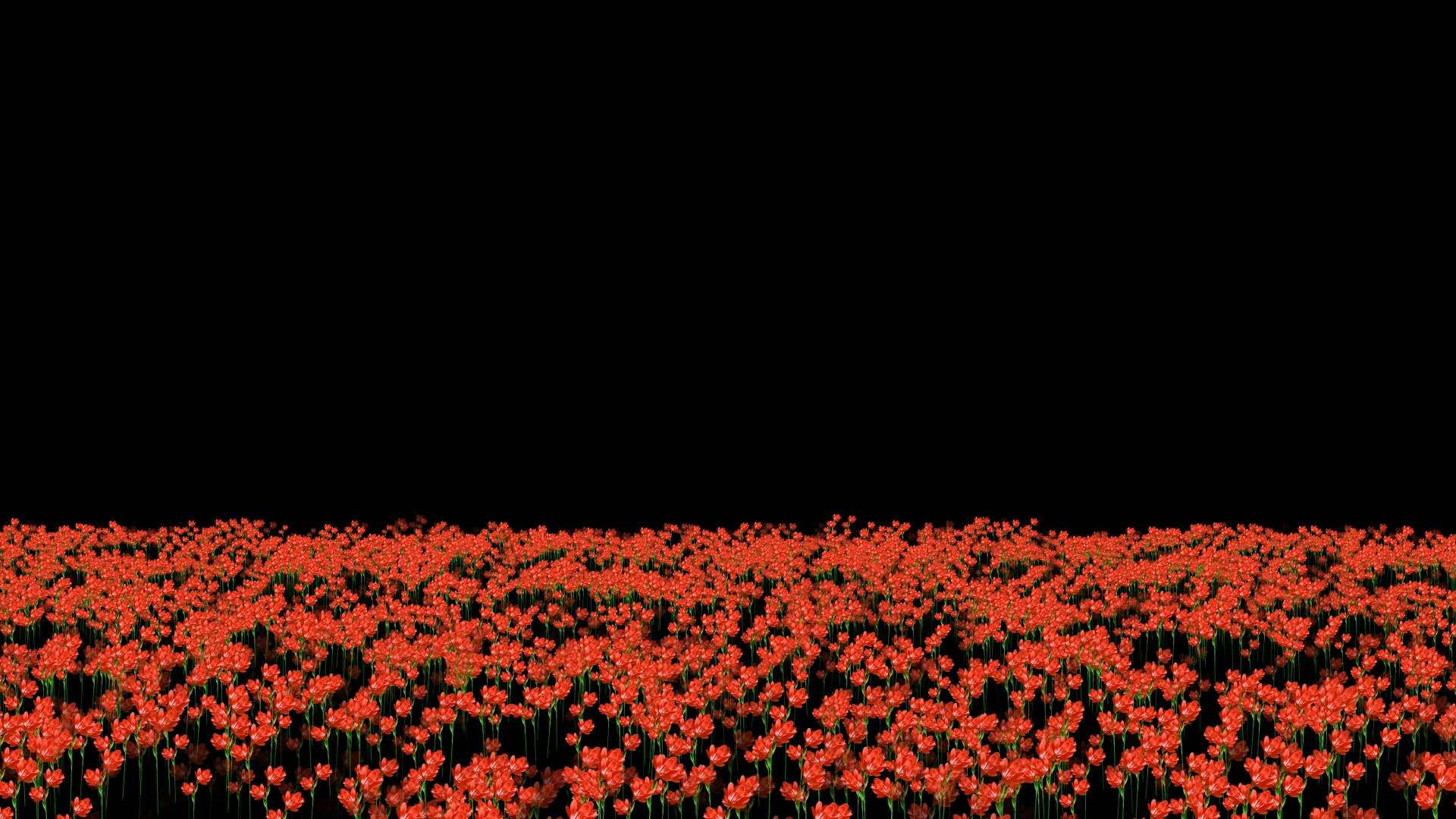 透明通道映山红花海视频素材视频的预览图