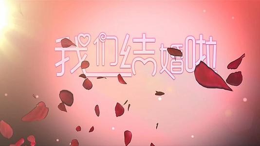 红色玫瑰飘落婚礼结婚片头视频视频的预览图