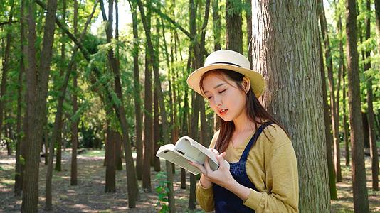 森林中看书的女青年视频的预览图