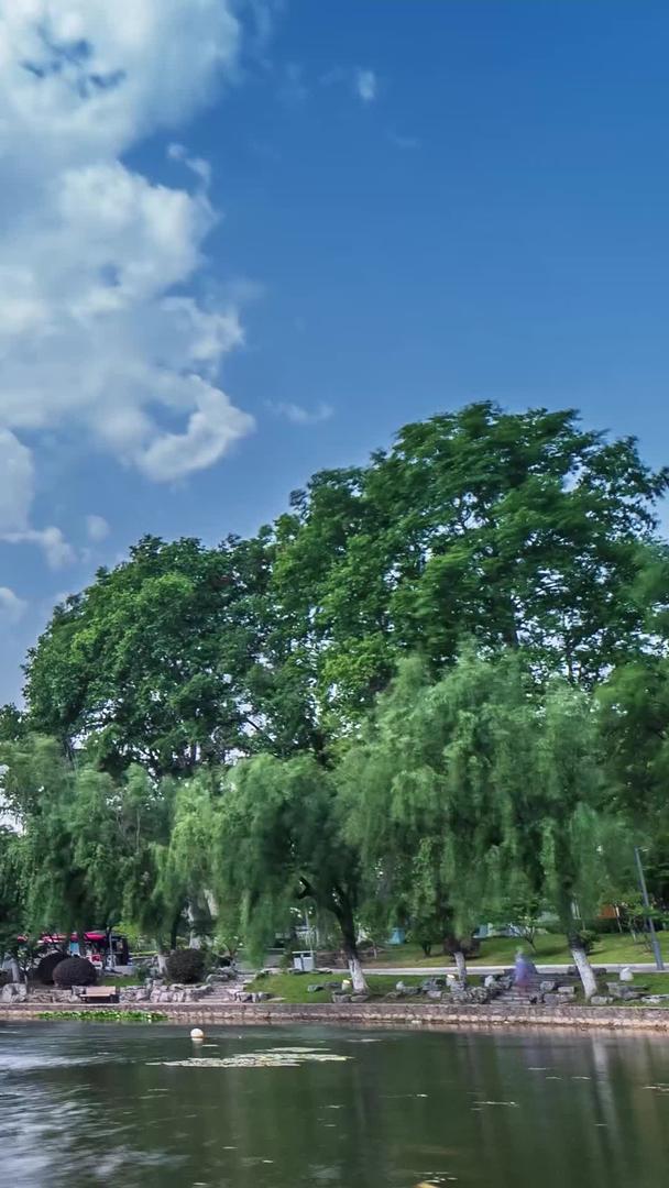 玄武湖一组延时材料视频的预览图