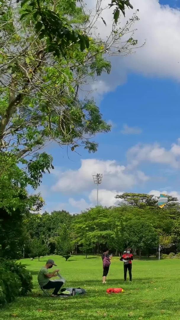 城市休闲生活方式假期在公园放风筝视频的预览图