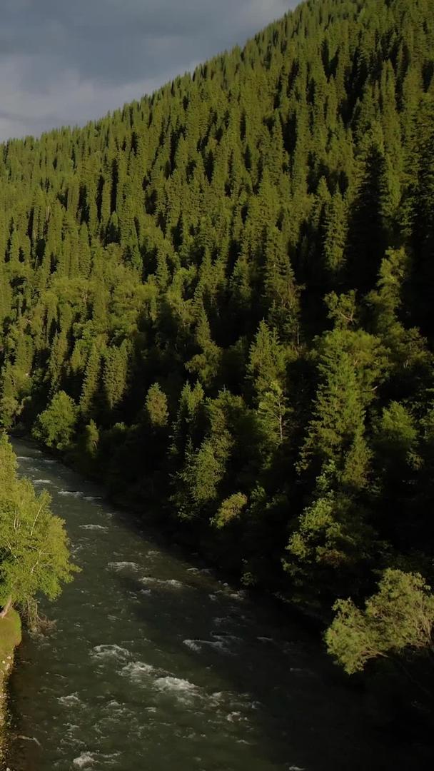 巩乃斯国家森林公园航拍4A景区视频视频的预览图