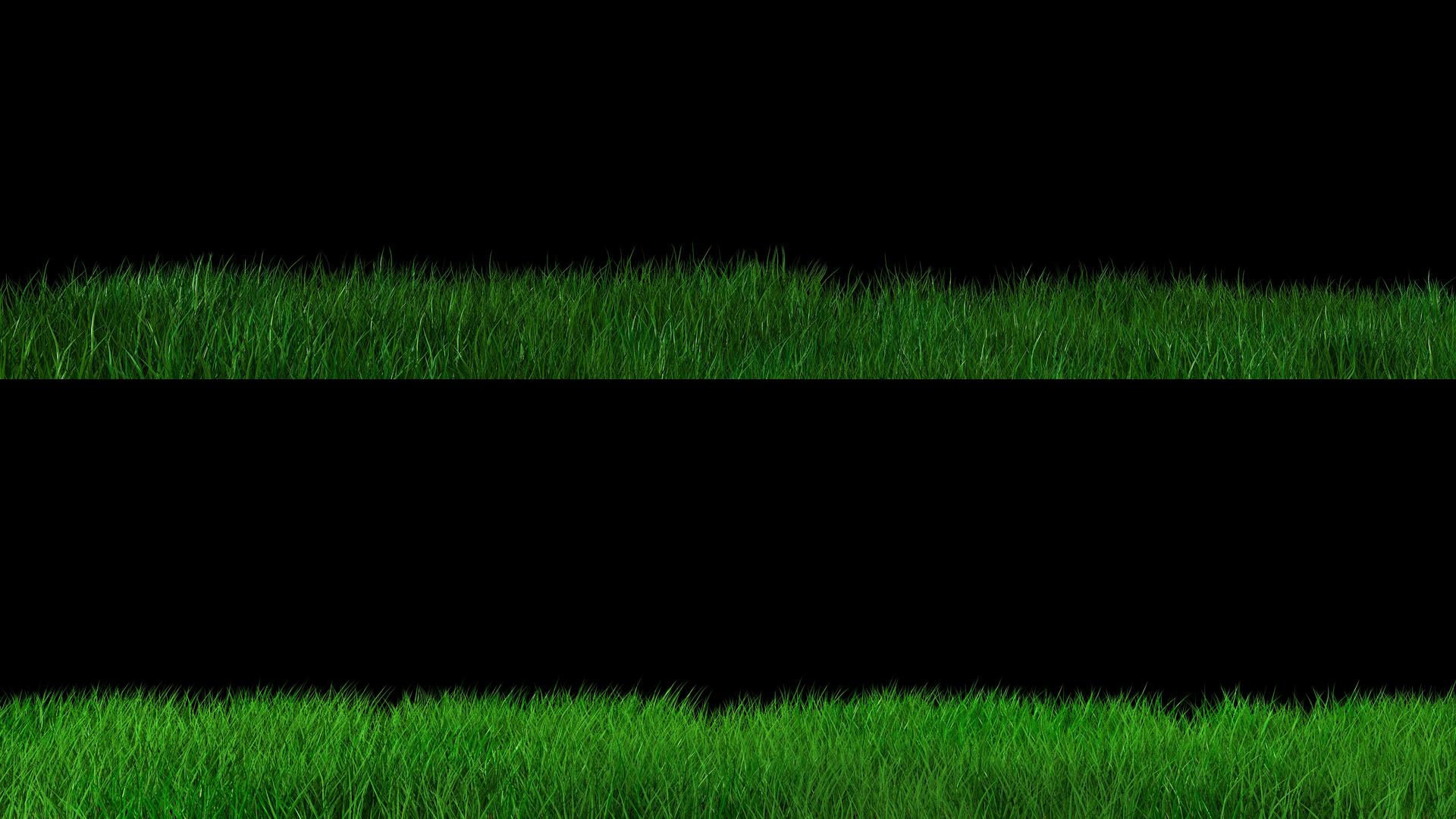 两种前景草地草风摇摆动动画视频的预览图