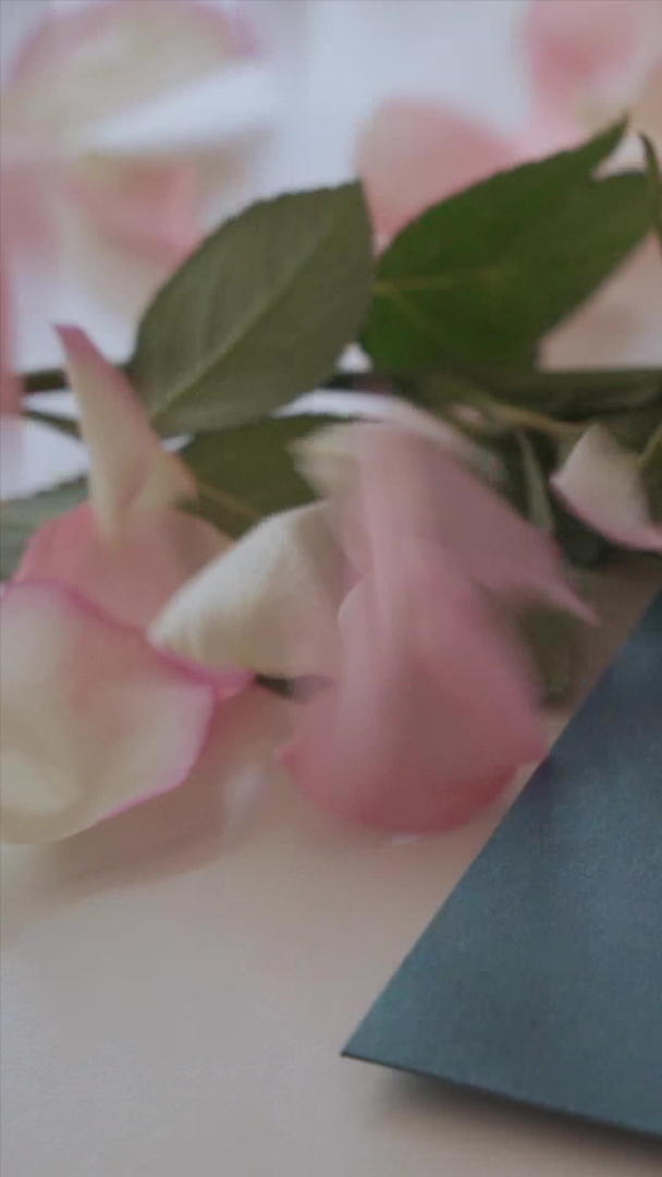 玫瑰花瓣落在贺卡上视频的预览图