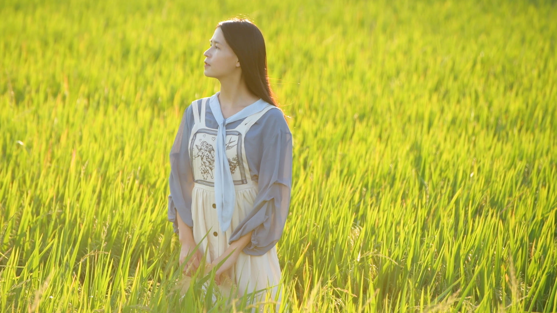 4K夏日稻田里的少女视频的预览图