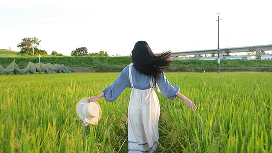 4K稻田里奔跑的少女视频的预览图