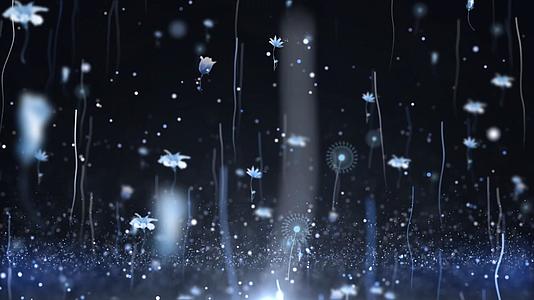 唯美粒子花朵光效动态背景视频素材视频的预览图