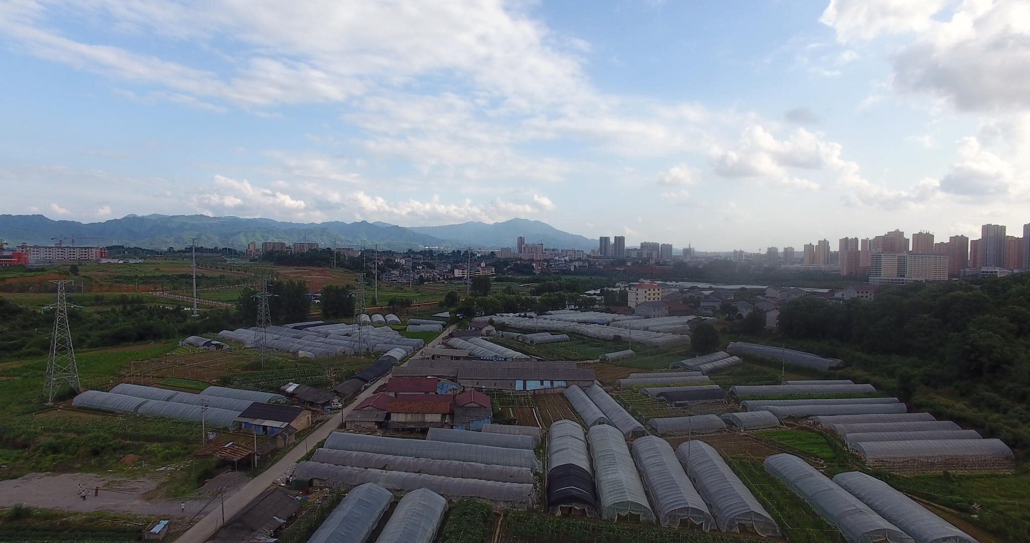 4K航拍农村大棚蔬菜基地视频的预览图