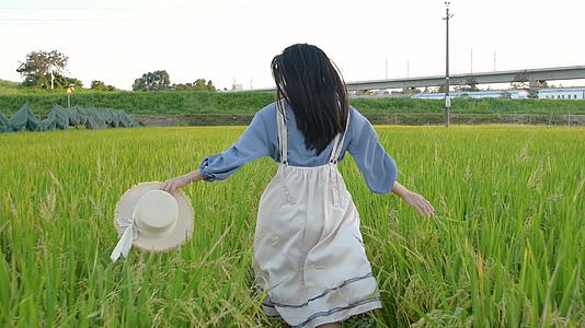 1080升格夏日稻田里奔跑的少女视频的预览图