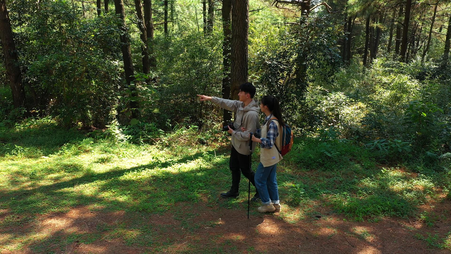 年轻情侣拍照记录森林徒步视频的预览图