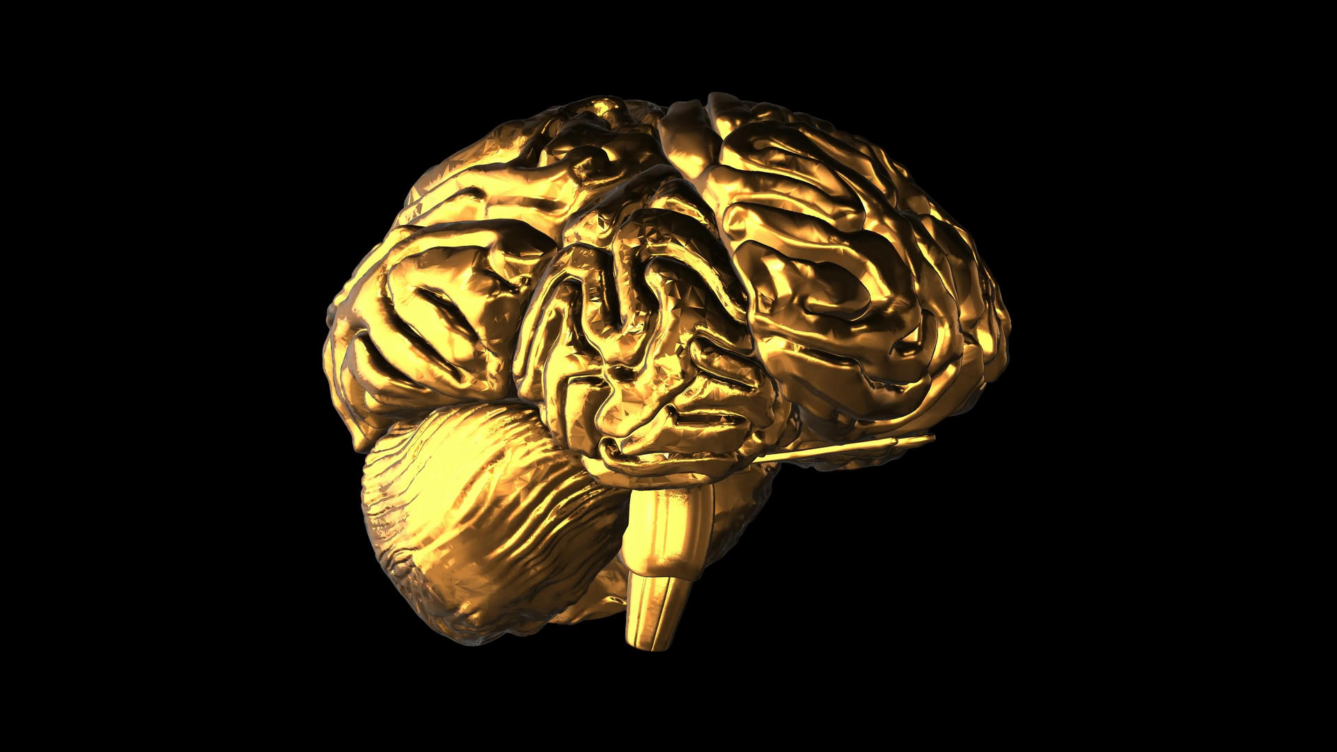 4K透明通道黄金大脑视频素材视频的预览图