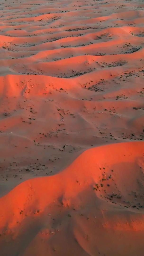 腾格里沙漠在夕阳下航拍视频的预览图