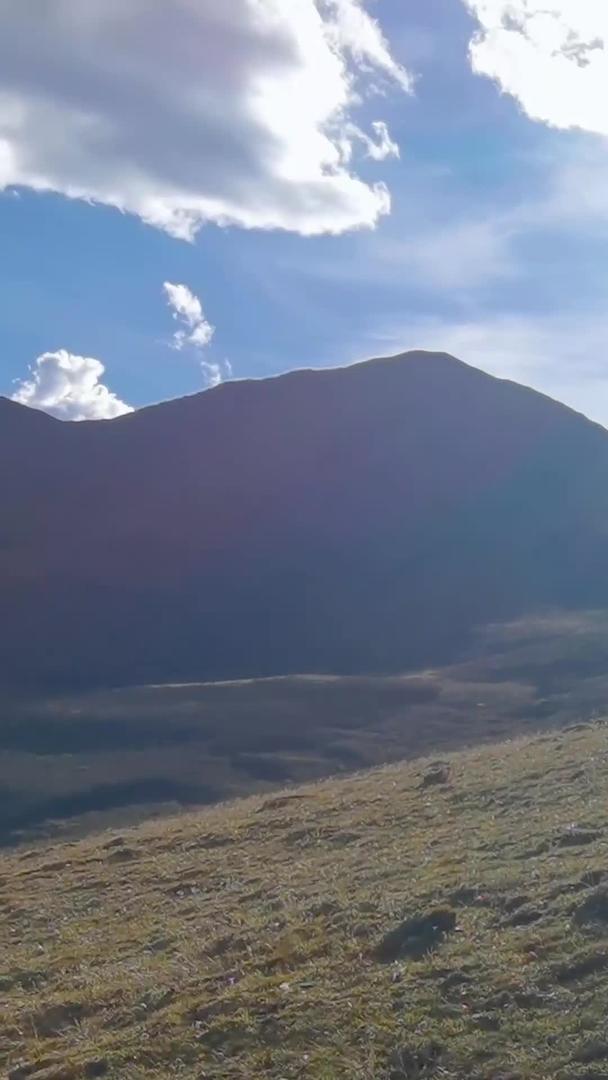 在烈日下骑马登山的马队第一视角拍摄视频的预览图