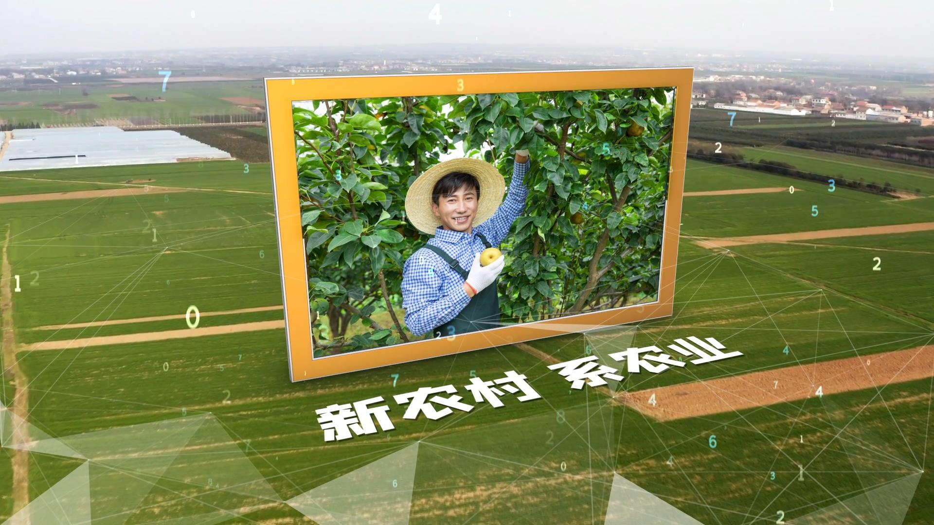 农民丰收节新农村新农业科技图文AE模板视频的预览图