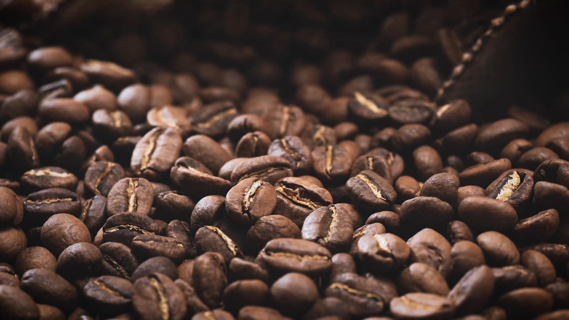 咖啡豆在光影流动下的质感表现视频的预览图