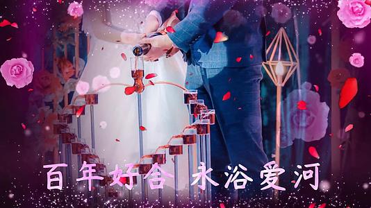浪漫花瓣飘落特效婚礼视频的预览图