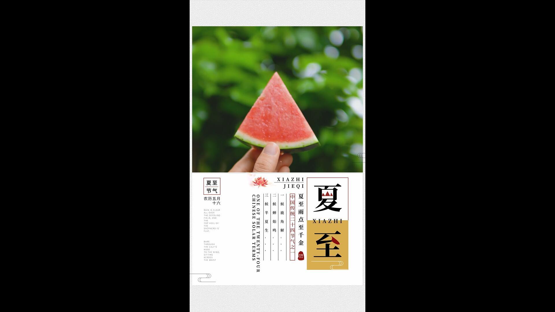 简洁美丽的夏至垂直海报AE模板视频的预览图