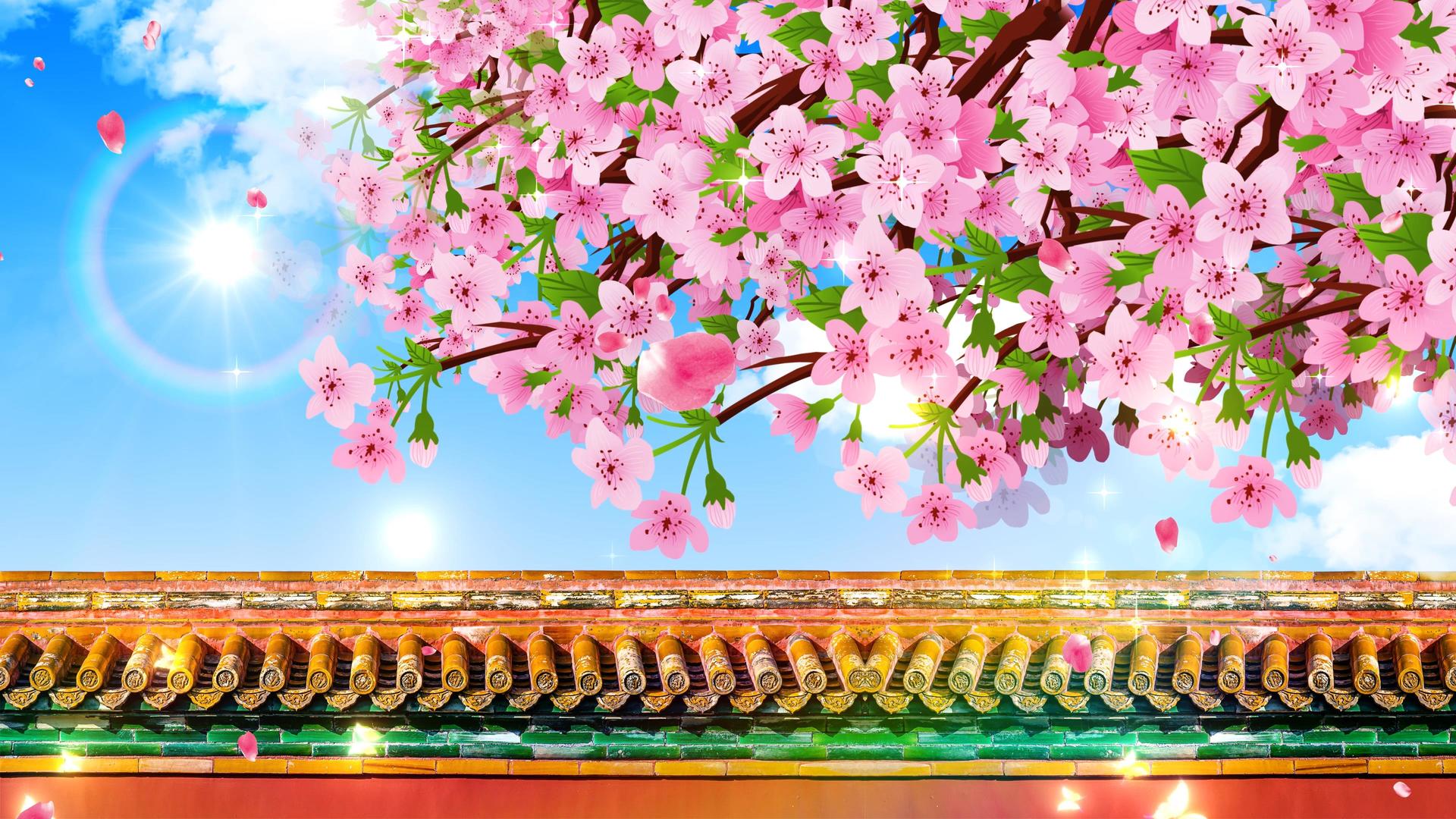 4K唯美的春天樱花背景素材视频的预览图