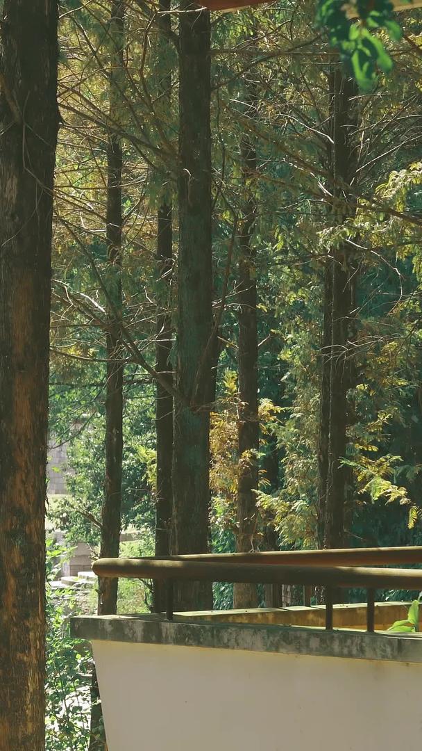 秋季丛林中波光粼粼的小溪上撑着竹筏的人视频的预览图