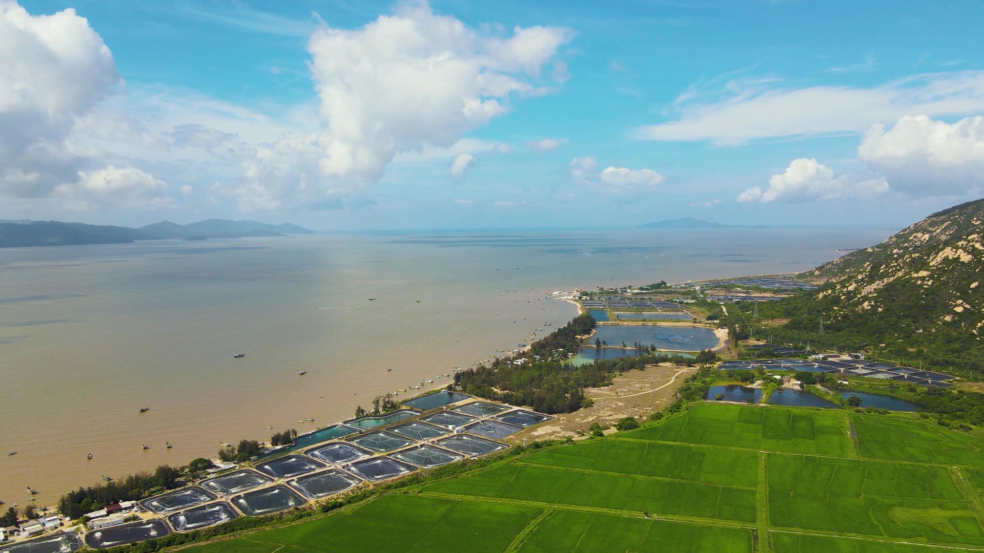 海边鱼业田地养殖基地码头视频的预览图