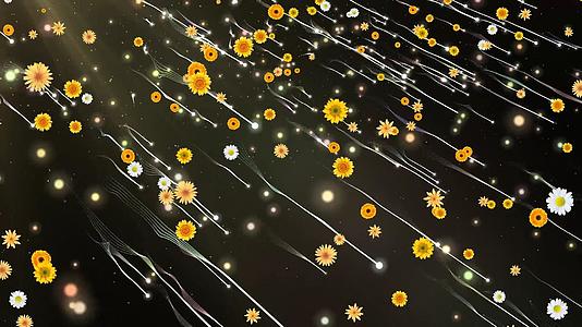动态大气粒子花瓣雨放射背景视频元素视频的预览图