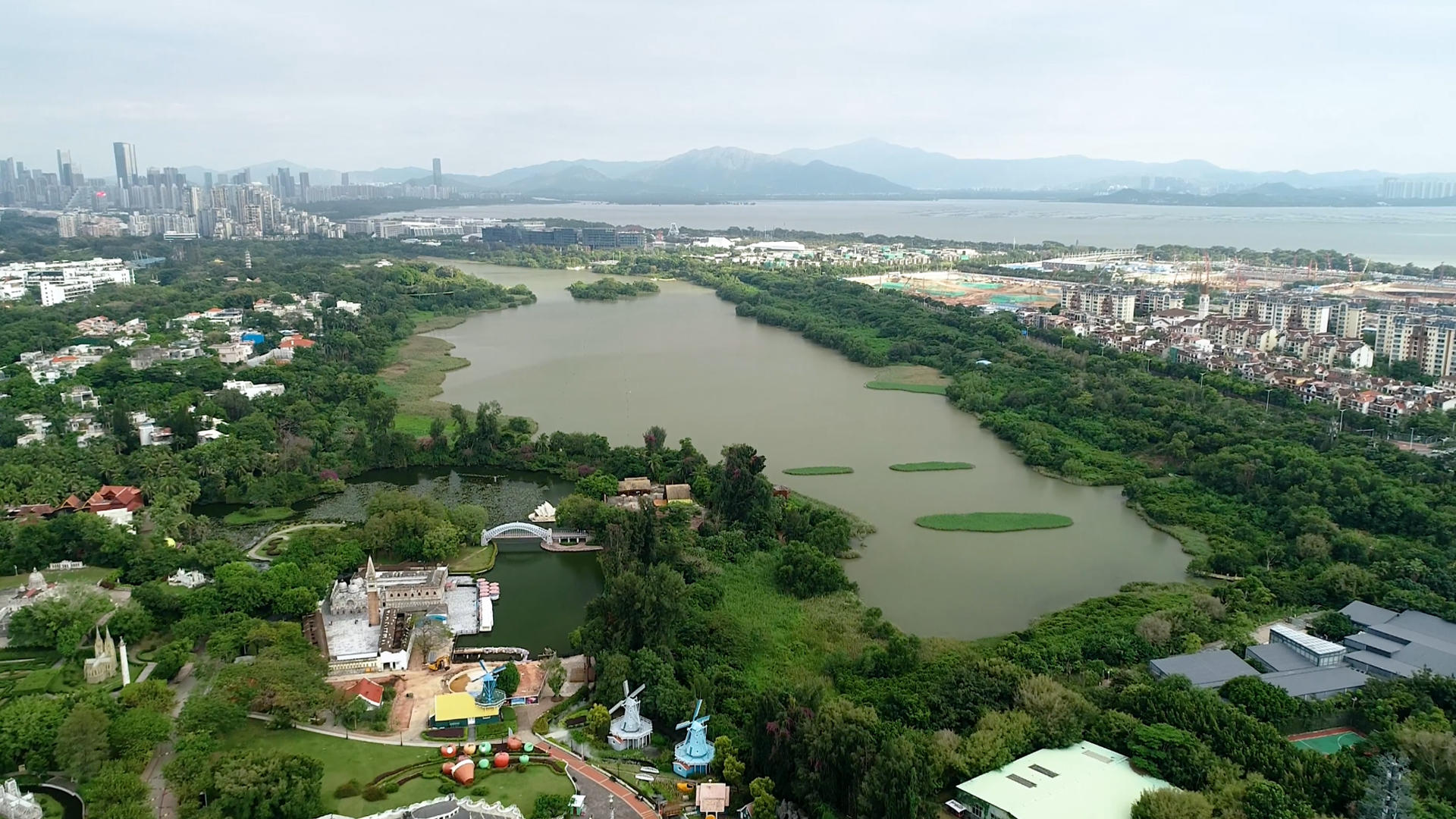4K深圳华侨城湿地公园视频的预览图