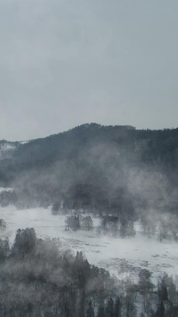 冬季白桦林晨雾视频的预览图