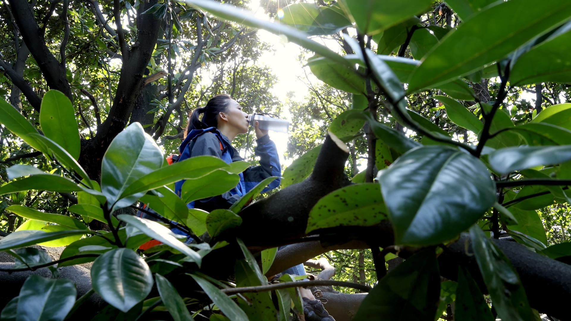女孩坐在茂盛的大树上休息喝水视频的预览图