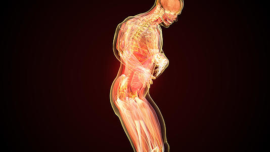 3D人体医疗腹痛视频的预览图