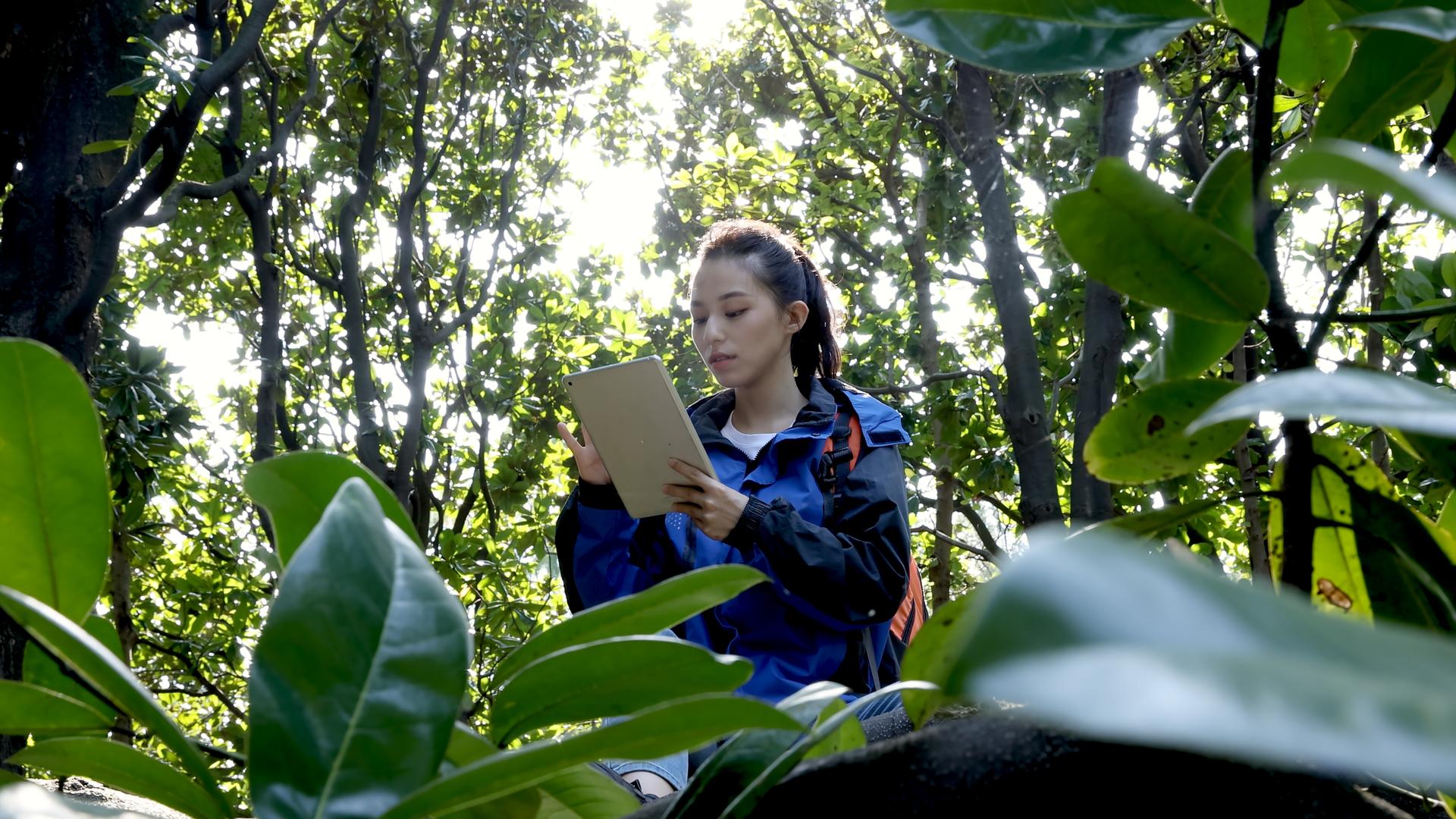 女孩坐在树上对照着植被看数据资料视频的预览图