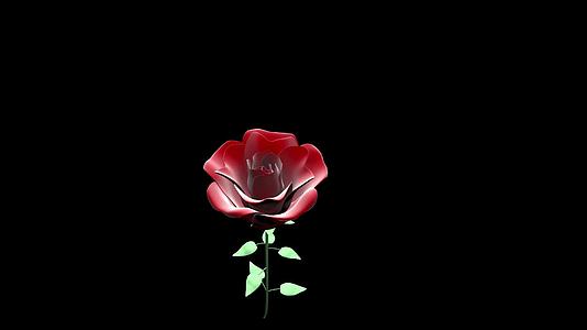 三维玫瑰花动画视频的预览图