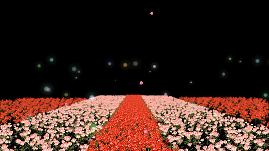 透明通道节日鲜花装饰视频的预览图