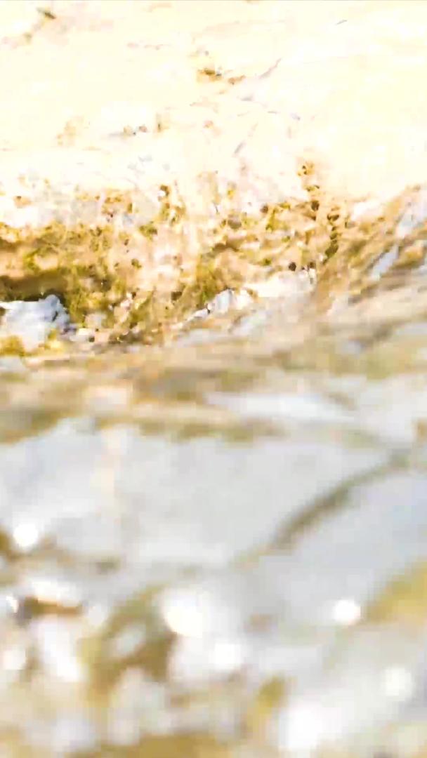 升级苔藓水流视频的预览图