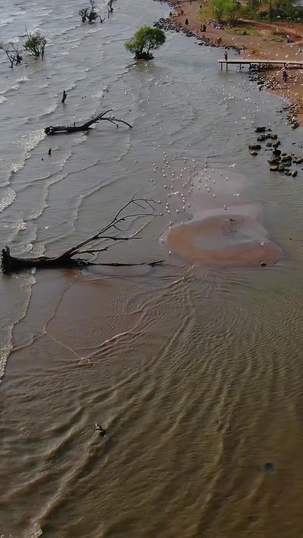 云南昆明王官湿地公园航拍视频视频的预览图