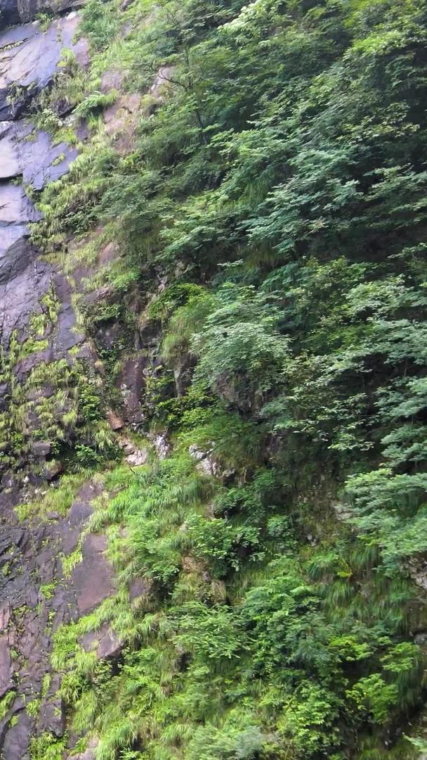 云谷飞瀑5A景区中心瀑布航拍集合视频的预览图
