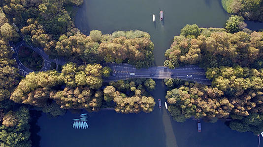 4K拍摄杭州杨公堤秋景视频的预览图
