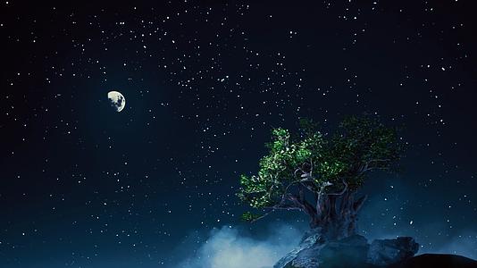 宁静月光大树视频的预览图