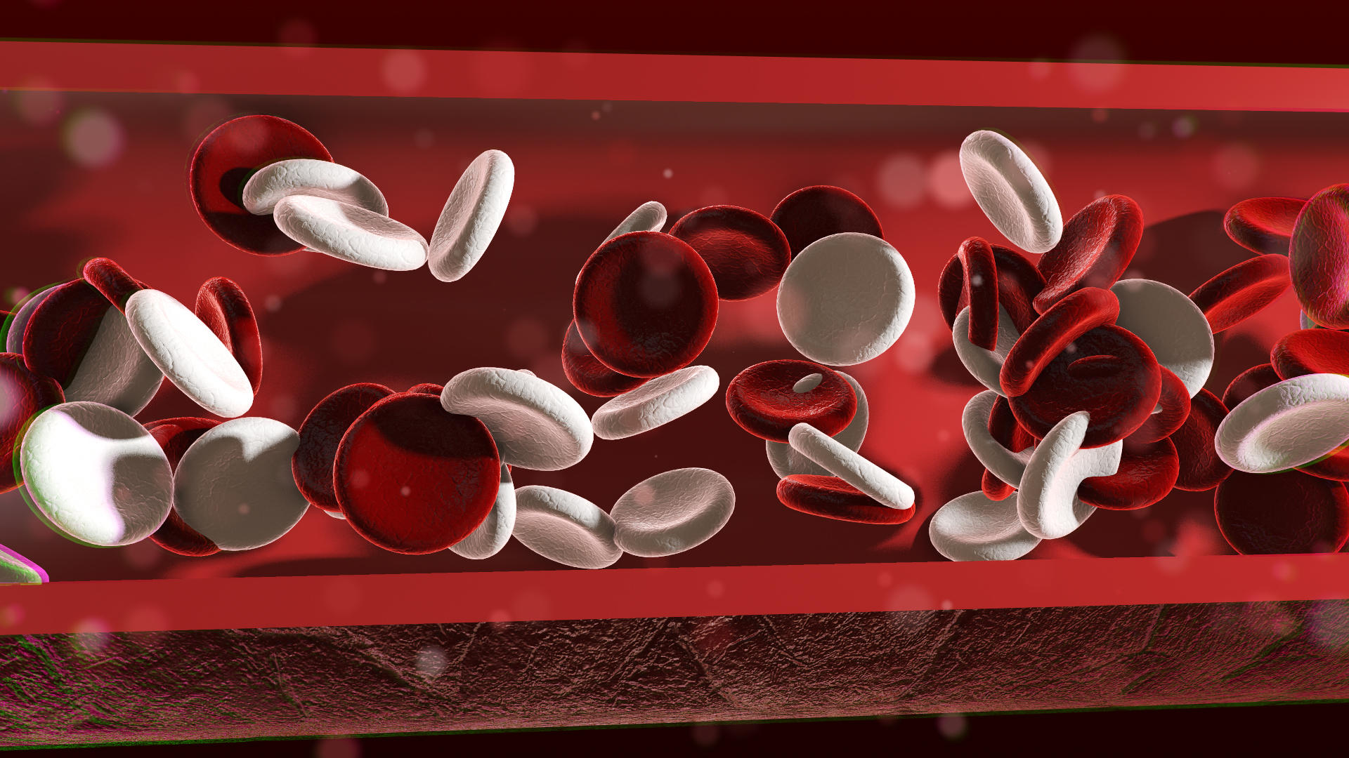 血管血液背景视频视频的预览图