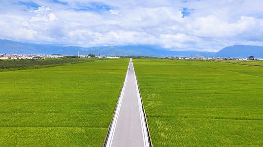 4K航拍大理洱海稻田农村风景视频的预览图