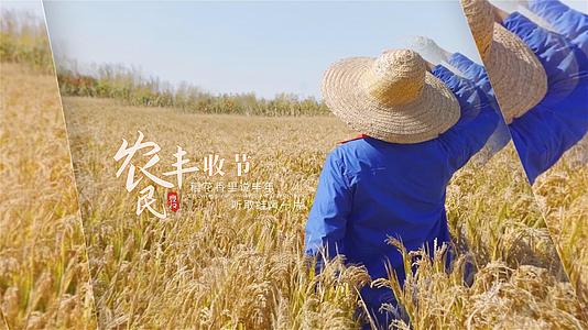 简洁中国农民丰收节图展示AE模板视频的预览图