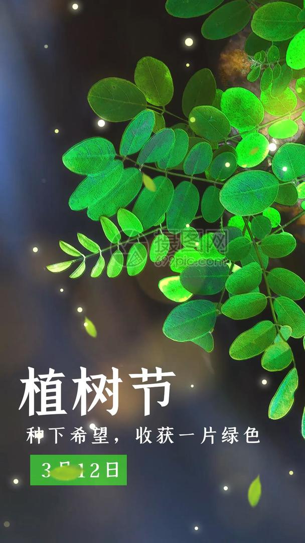 清新植树节竖版视频海报视频的预览图
