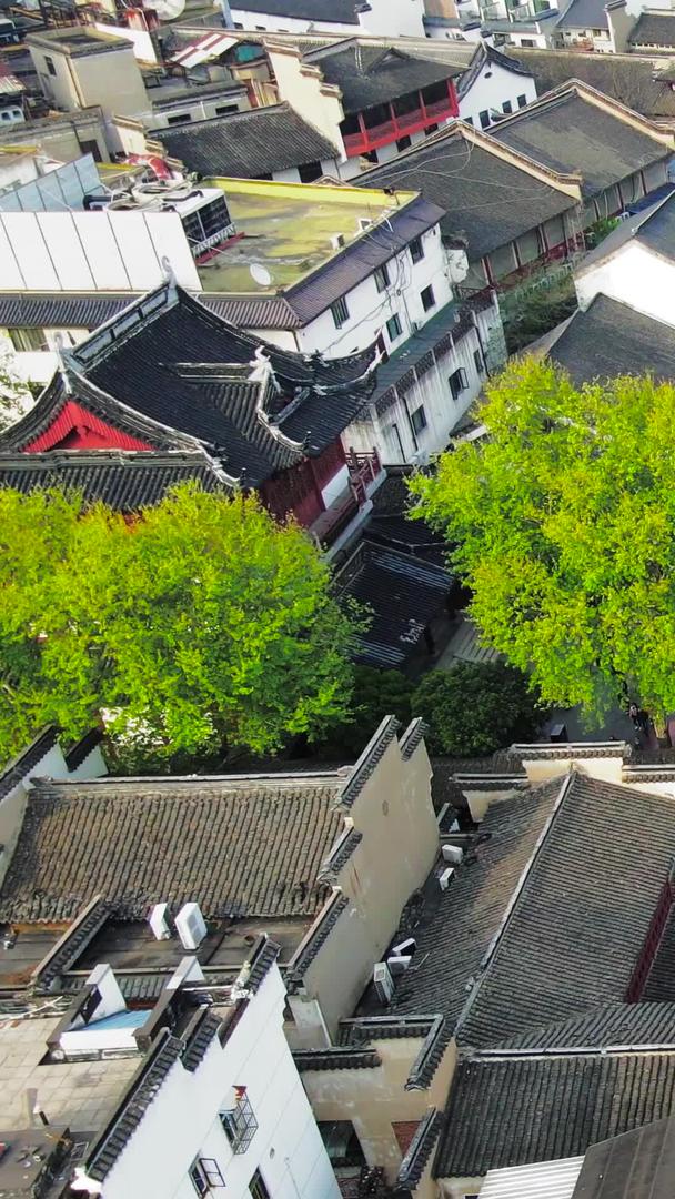 南京地标5A景区夫子庙视频的预览图