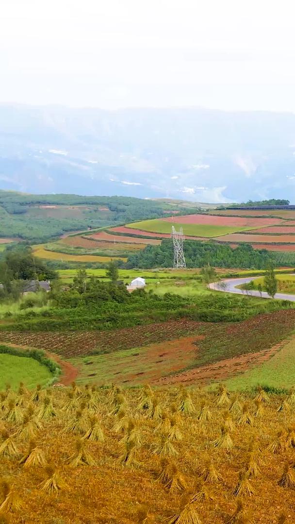 云南红土地农业耕地航拍视频的预览图